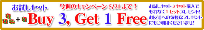 手作り石鹸アンティアンの5/15のキャンペーンお試しセットバナー