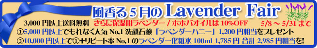 手作り石鹸アンティアンの5月のキャンペーンバナー