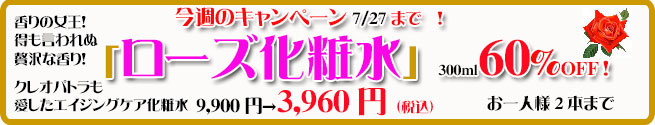 オーガニック化粧品手作り無添加石鹸アンティアン260721キャンペーンバナー