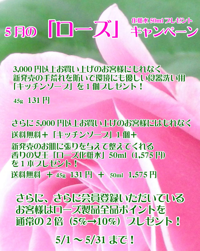 5��Υץ쥼��ȥ����ڡ���copy