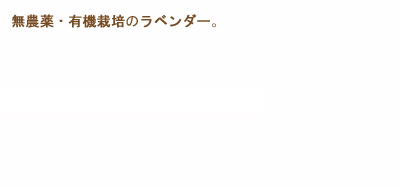 ̵������ͭ�����ݤΥ�٥����
